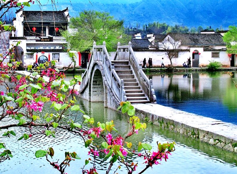黄山葵缘,这个品牌在护肤品市场上占据了一席之地,但其真实效果如何?今天我们就来揭开它的神秘面纱。