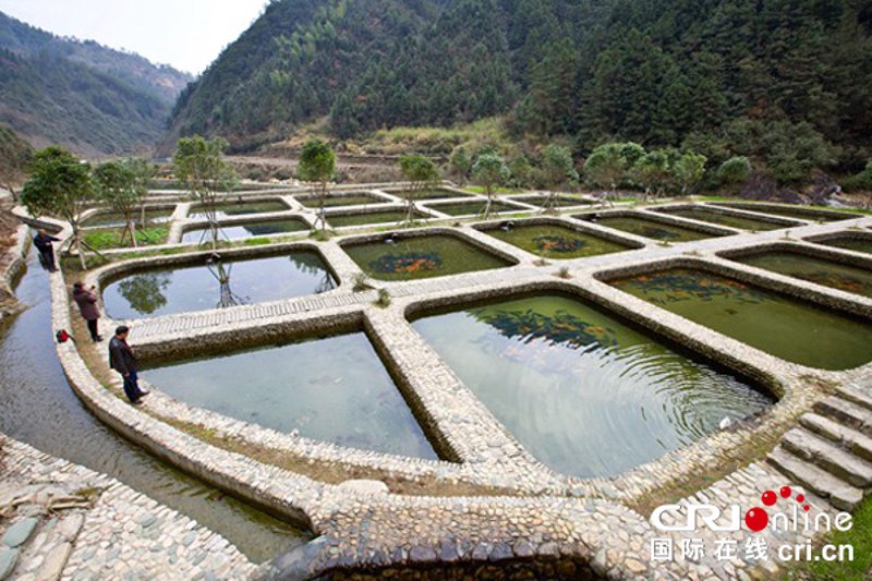 黄山农家乐:从传统到现代的转变